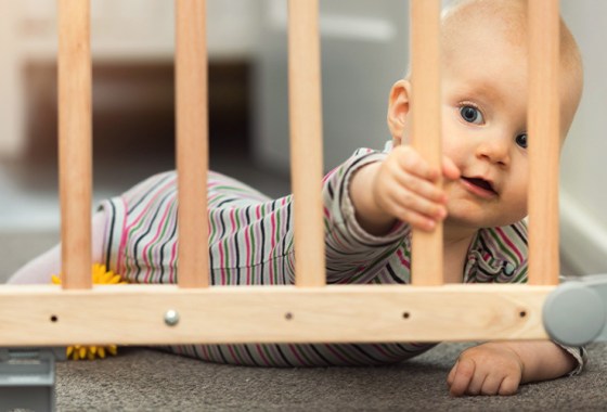 Best Extra Wide Baby Gates