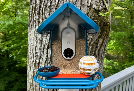 Everything you should know before buying a smart bird feeder