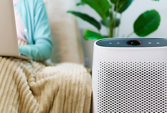 How to improve the air quality in your home