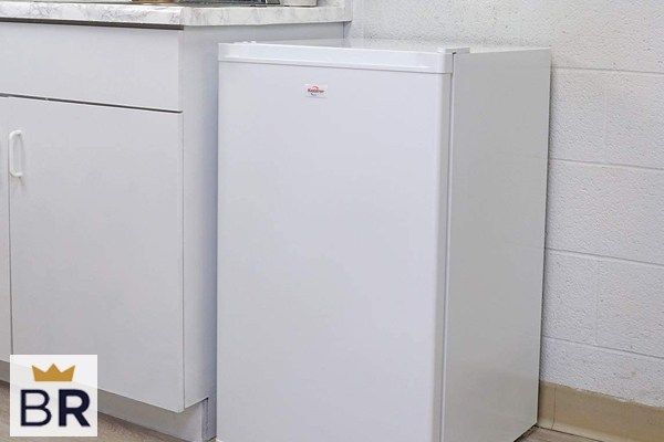 best upright freezers