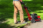 gas lawn edger