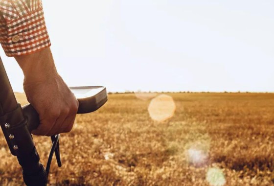 How to use a metal detector