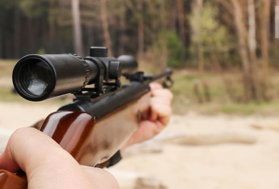 Best Benjamin air rifle