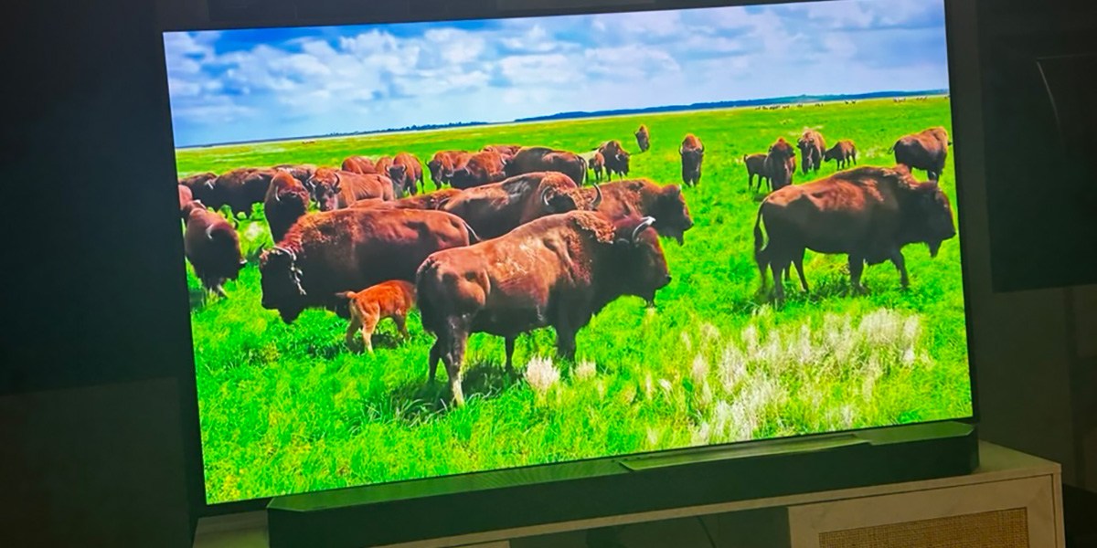 Samsung The Frame with colorful image of green pasture and livestock