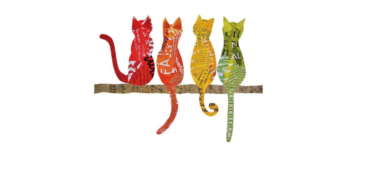 Best AnimalPaperPrints Cat Rainbow Decor Print