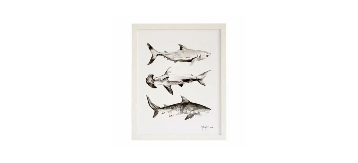 Best Brittany Zeller-Holland Shark Print