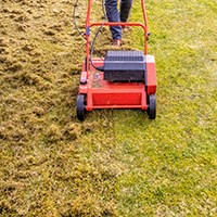 lawn dethatcher