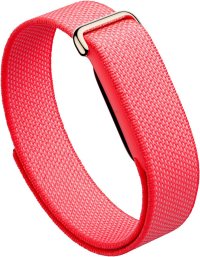 Google Fitbit Air