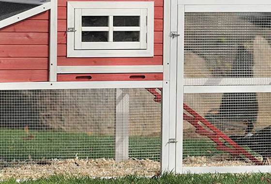 Best Outdoor Chicken Coops