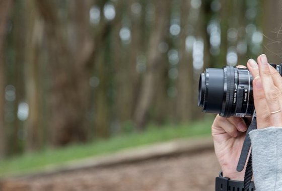Best Mirrorless Cameras