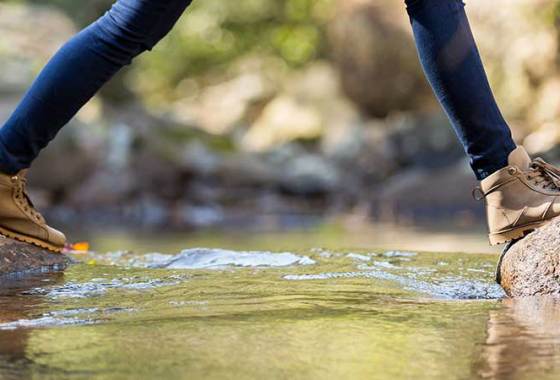 Best Women's Asolo Boots