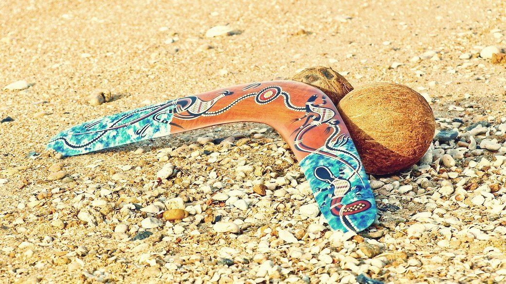 5 Best Boomerangs Aug. 2021 BestReviews