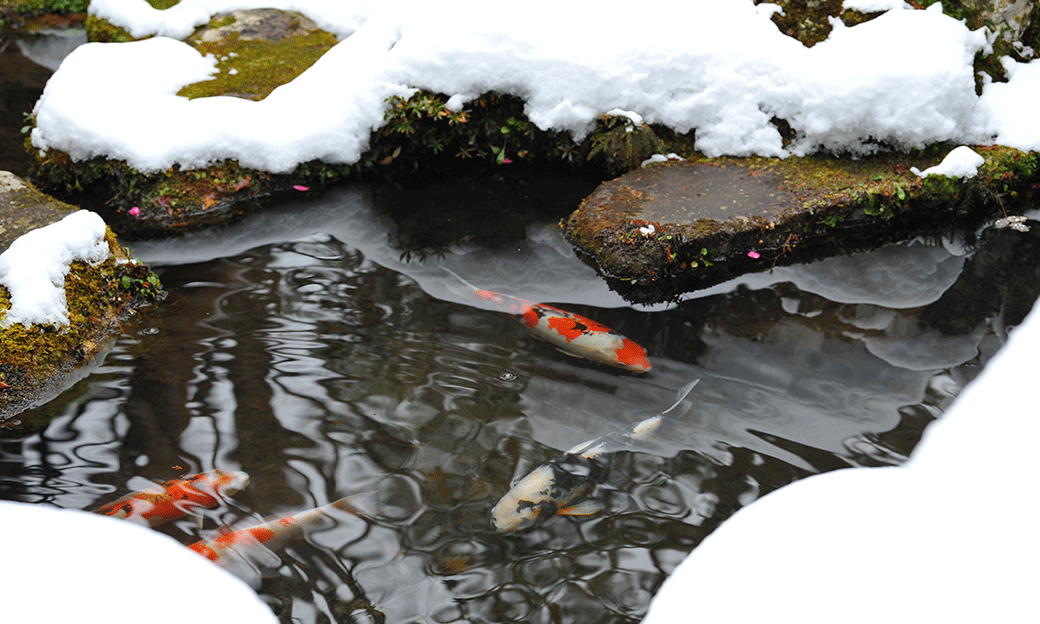 5 Best Pond DeIcers Sept. 2021 BestReviews