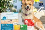 Dog Food