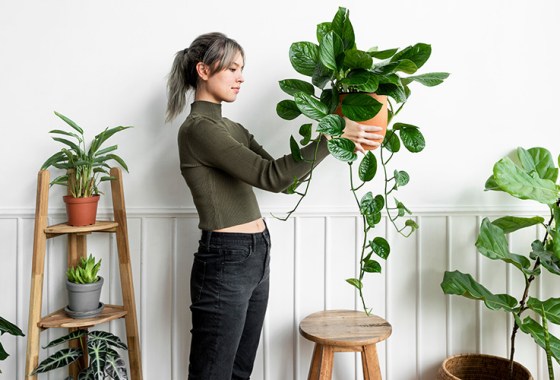 10 stylish shelf planters that are sure to look great in any home