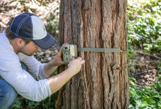 How to use a trail camera for home security