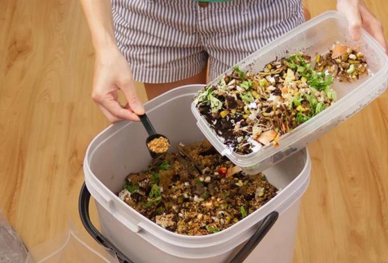 How to compost at home