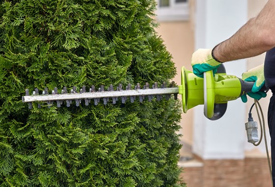 Best Ryobi hedge trimmer