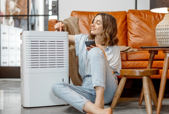 Frigidaire dehumidifier vs. GE dehumidifier