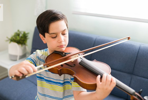Best violin bow