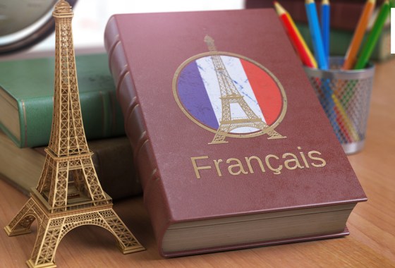 Best book to help you learn about France