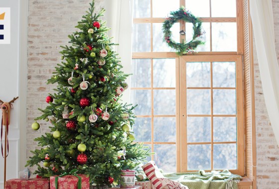 Best cheap Christmas tree