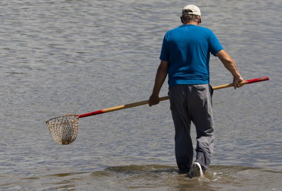Best pants for crabbing