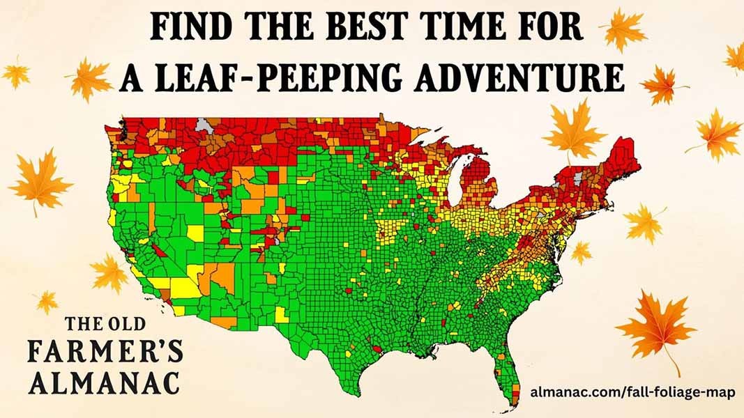 Farmer's Almanac 2026 Fall Foliage Map