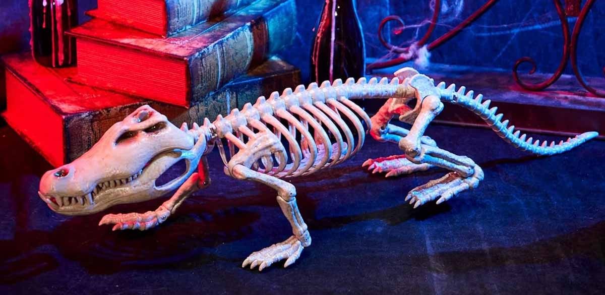 Joyfy Crocodiles Skeleton