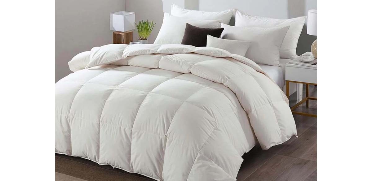 ValenciaLuxe Baffle Box Feather Down Blend Duvet Insert with Cover