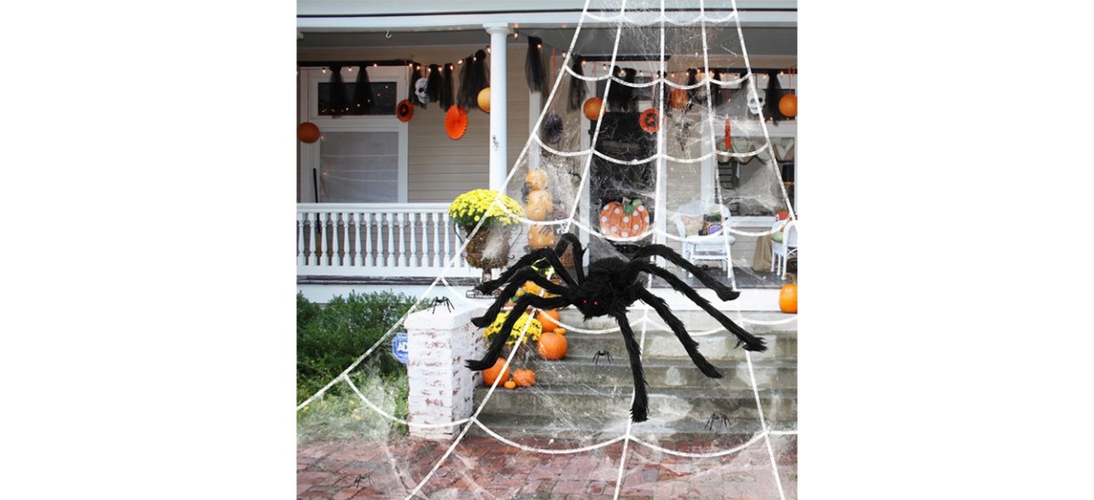 Black Halloween spider on spider web on front lawn