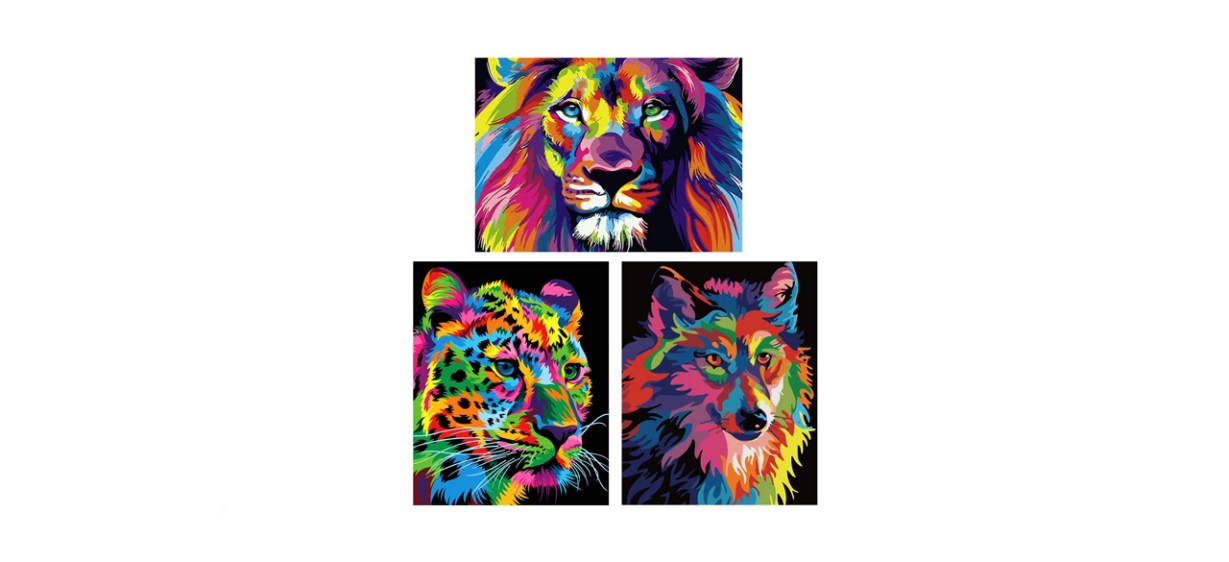 best HS-Sports Paintworks Paint by Number Kit for Adults