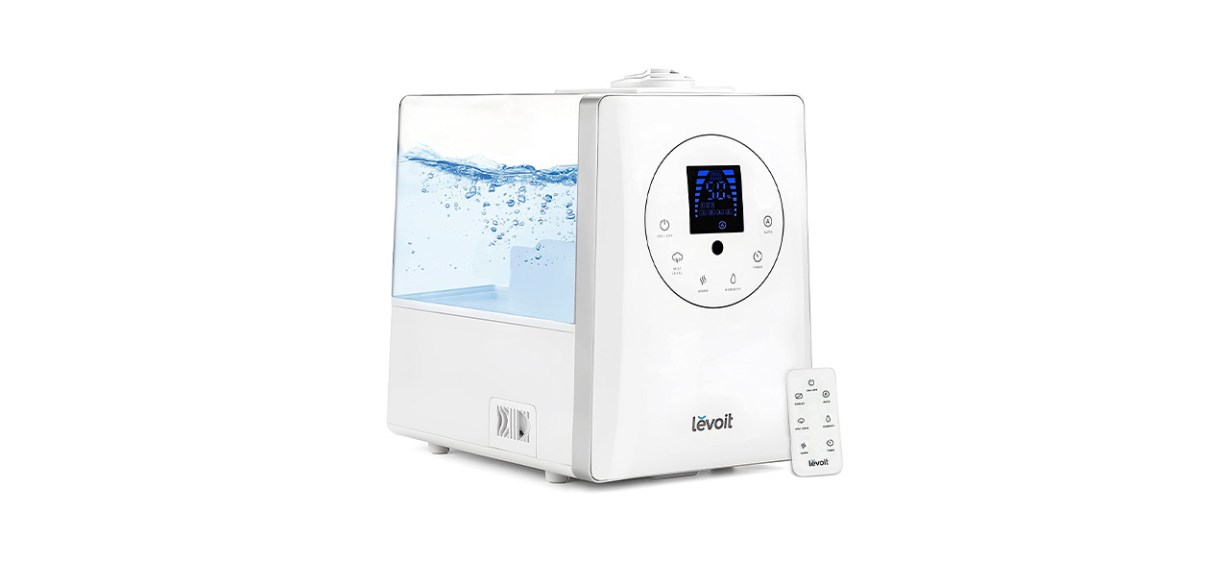 Best Levoit LV600HH Humidifier