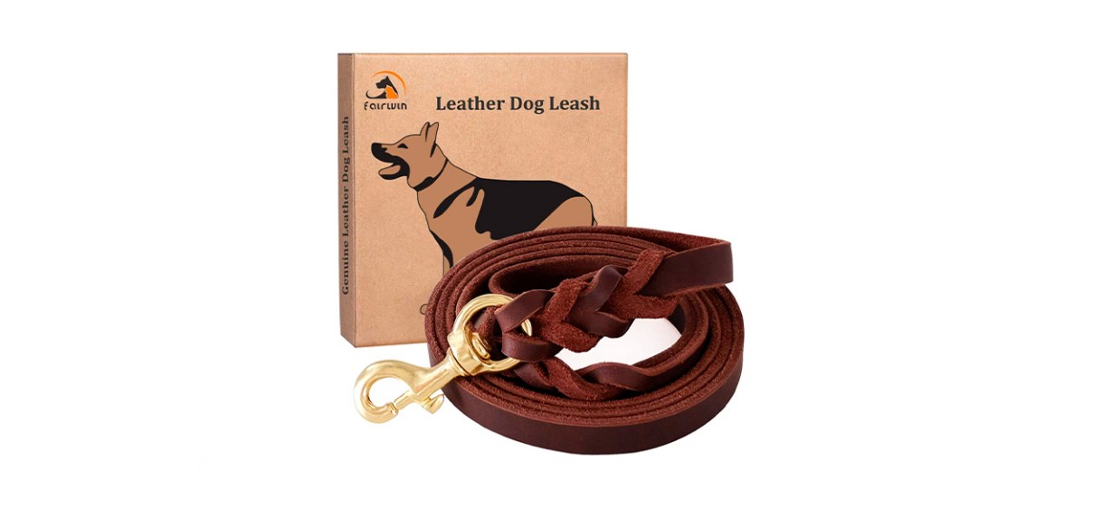Fairwin Braided Leather Dog Leash