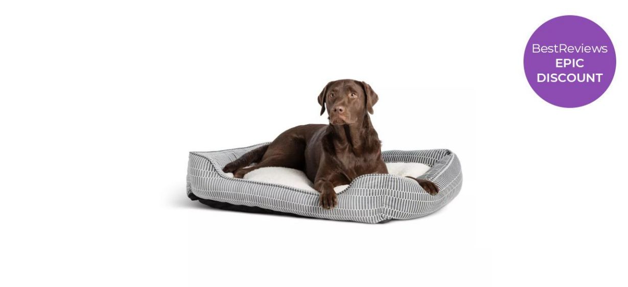 Top Paw dog bed on white background