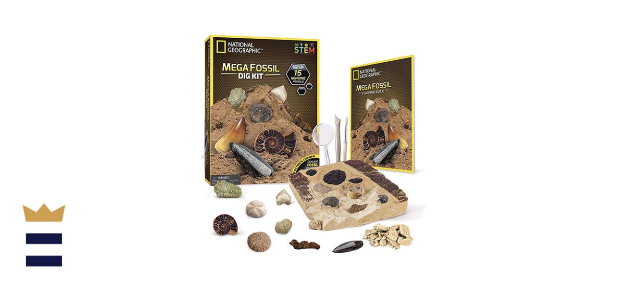 NATIONAL GEOGRAPHIC Mega Fossil Dig Kit