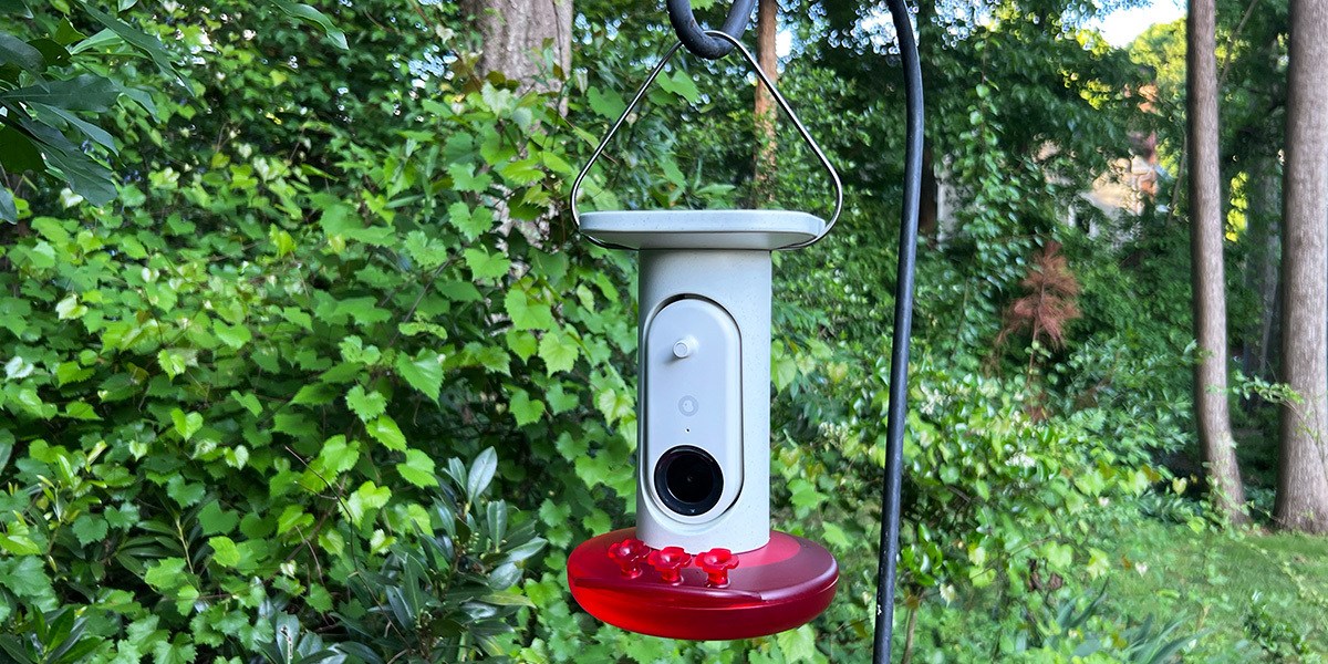 Bird Buddy Smart Solar Pro Hummingbird Feeder