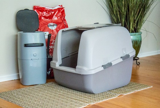 The 6 Best Arm and Hammer litter products