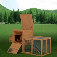 Archie & Oscar Auggie Chicken Coop with Chicken Run