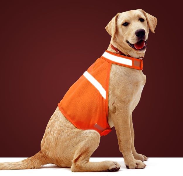 Vizbrite Dog Jacket High Visibility