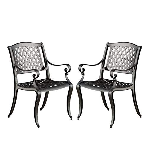 Christopher Knight Outdoor Cast Aluminum Dining Chairs