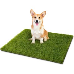 CooRug  Artificial Grass Pee Pad