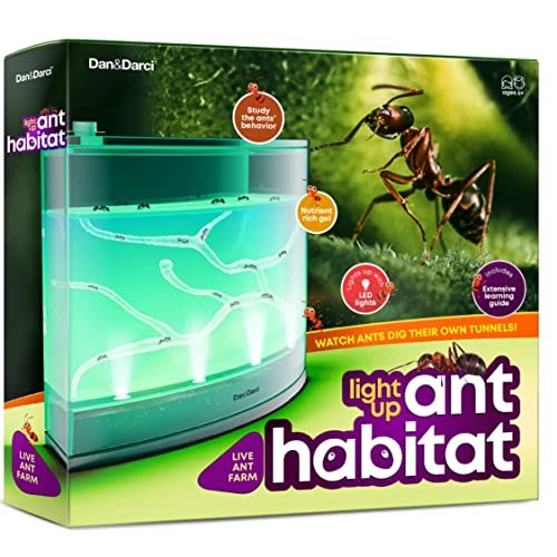 Dan&amp;Darci Light-up Ant Habitat for Kids