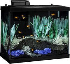 Tetra ColorFusion Aquarium 20 Gallon Fish Tank Kit