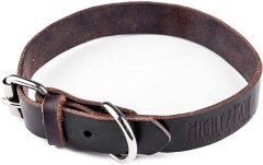 Mighty Paw Leather Dog Collar